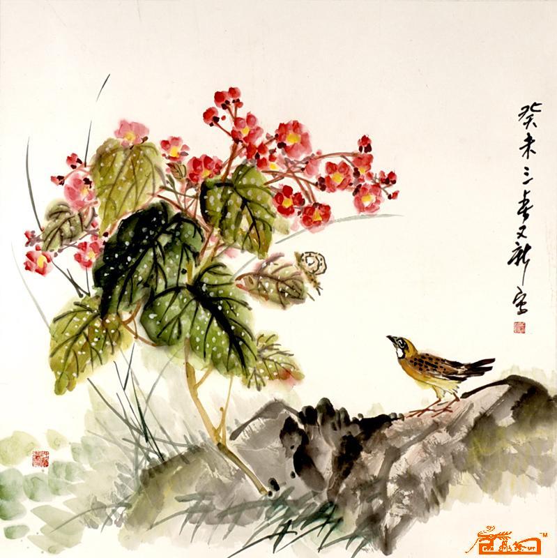 花鸟11-69x69cm